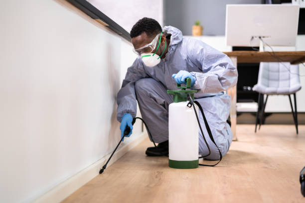 Best Residential Pest Control  in Union City, TN